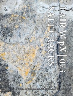 LAIR W pX 073 Salt Cracks - Wetdryvac