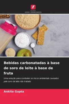 Cover Bebidas carbonatadas à base de soro de leite à base de fruta