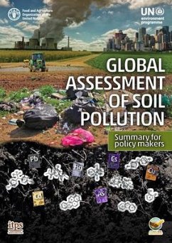 Global Assessment of Soil Pollution