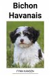 Bichon Havanais - Bild 1