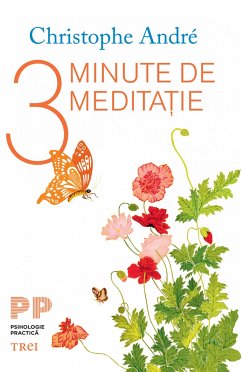 3 minute de meditatie (eBook, ePUB) - Andre, Christophe