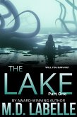 The Lake Part One (eBook, ePUB)