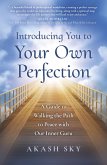 Introducing You to Your Own Perfection (eBook, ePUB)