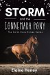 The Storm and the Connemara Pony - The... - Bild 1