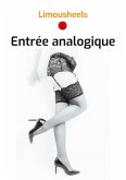 Entrée analogique (eBook, ePUB)