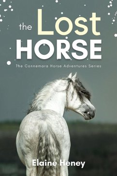 The Lost Horse - Book 6 in the Connemara Horse Adventure Series for Kids (Connemara Horse Adventures, #6) (eBook, ePUB) - Heney, Elaine