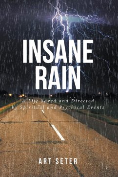 Insane Rain (eBook, ePUB) - Seter, Art