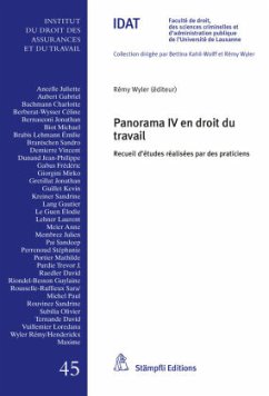 Panorama IV en droit du travail