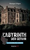 Im Labyrinth der Gefahr (eBook, ePUB)