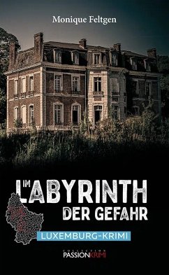 Im Labyrinth der Gefahr (eBook, ePUB) - Feltgen, Monique