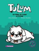 Tulum un perro de ciudad / Tulum a city dog