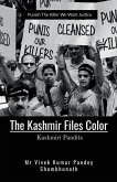 The Kashmir Files Color