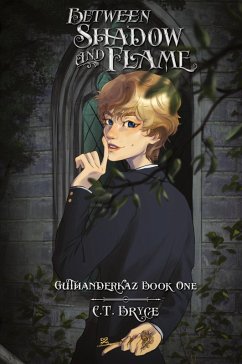 Cover Between Shadow and Flame