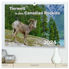 Tierwelt in den Canadian Rockies (hochwertiger Premium Wandkalender 2024 DIN A2 quer), Kunstdruck in Hochglanz