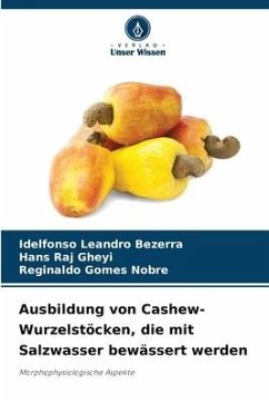 Ausbildung von Cashew-Wurzelstöcken, die mit Salzwasser bewässert werden - Leandro Bezerra, Idelfonso;Raj Gheyi, Hans;Gomes Nobre, Reginaldo