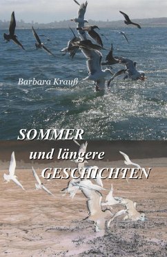 Sommer und längere Geschichten (eBook, ePUB) - Krauß, Barbara