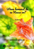 Wann kommst du zu Hause an? (eBook, ePUB) Wann kommst du zu Hause an? (eBook, ePUB)