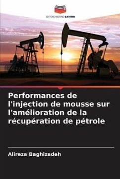 Performances de l'injection de mousse sur l'amélioration de la récupération de pétrole - Baghizadeh, Alireza