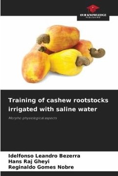 Training of cashew rootstocks irrigated with saline water - Leandro Bezerra, Idelfonso;Raj Gheyi, Hans;Gomes Nobre, Reginaldo