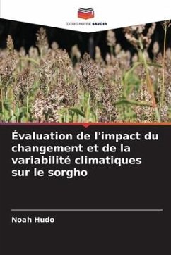 Évaluation de l'impact du changement et de la variabilité climatiques sur le sorgho - Hudo, Noah