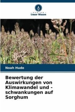 Bewertung der Auswirkungen von Klimawandel und -schwankungen auf Sorghum - Hudo, Noah