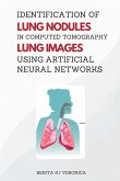 Identification of Lung Nodules in Computed Tomography Lung Images Using Artificial Neural Networks