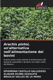 Arachis pintoi, un'alternativa nell'alimentazione dei bovini