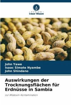 Auswirkungen der Trocknungsflächen für Erdnüsse in Sambia - Yawe, John;Nyambe, Isaac Simate;Shindano, John