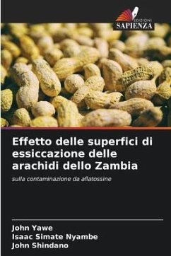 Effetto delle superfici di essiccazione delle arachidi dello Zambia - Yawe, John;Nyambe, Isaac Simate;Shindano, John