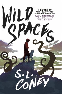 Wild Spaces (eBook, ePUB) - Coney, S. L.