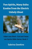 Two Spirits, Many Suits: Exodus from the Electric Unholy Ghost (Adam was Black. God and Satan are Spirits Bible Series, #2) (eBook, ePUB)