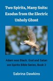 Two Spirits, Many Suits: Exodus from the Electric Unholy Ghost (Adam was Black. God and Satan are Spirits Bible Series, #2) (eBook, ePUB) Two Spirits, Many Suits: Exodus from the Electric Unholy Ghost (Adam was Black. God and Satan are Spirits Bible Series, #2) (eBook, ePUB)