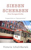 Sieben Scherben (eBook, ePUB)