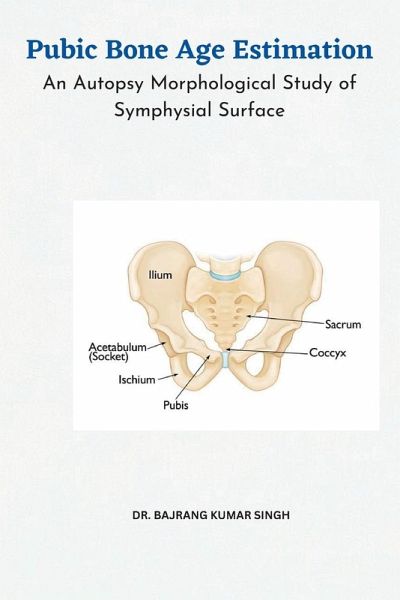 Pubic Bone Age Estimation An Autopsy Morphological Study of Symphysial Surface Pubic Bone Age Estimation An Autopsy Morphological Study of Symphysial Surface