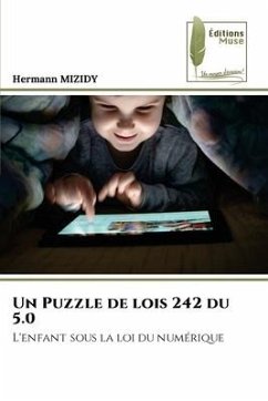 Un Puzzle de lois 242 du 5.0 - MIZIDY, Hermann