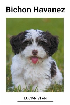 Bichon Havanez - Stan, Lucian