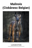 Malinois (Ciob¿nesc Belgian)