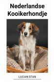 Nederlandse Kooikerhondje