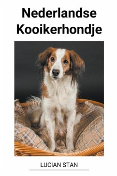 Nederlandse Kooikerhondje - Stan, Lucian