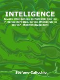 Inteligence (eBook, ePUB)