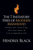 The 7 Initiatory Fires of Modern Manhood (eBook, ePUB)