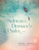 Saltwater Demands a Psalm (eBook, ePUB)