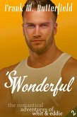 'S Wonderful (The Romantical Adventures of Whit & Eddie, #2) (eBook, ePUB)