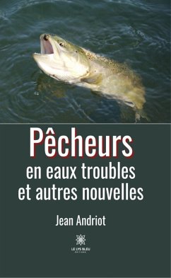 Pêcheurs en eaux troubles et autres nouvelles (eBook, ePUB) - Andriot, Jean
