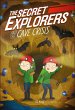 The Secret Explorers and the Cave Crisis - Bild 1