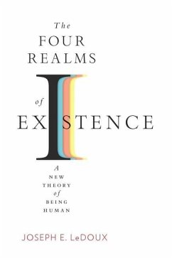 The Four Realms of Existence - LeDoux, Joseph E.