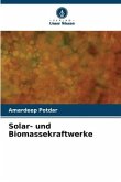 Solar- und Biomassekraftwerke