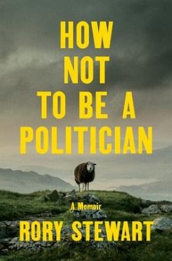 How Not to Be a Politician - Stewart, Rory