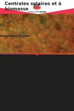 Centrales solaires et à biomasse - Potdar, Amardeep