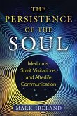 The Persistence of the Soul (eBook, ePUB)